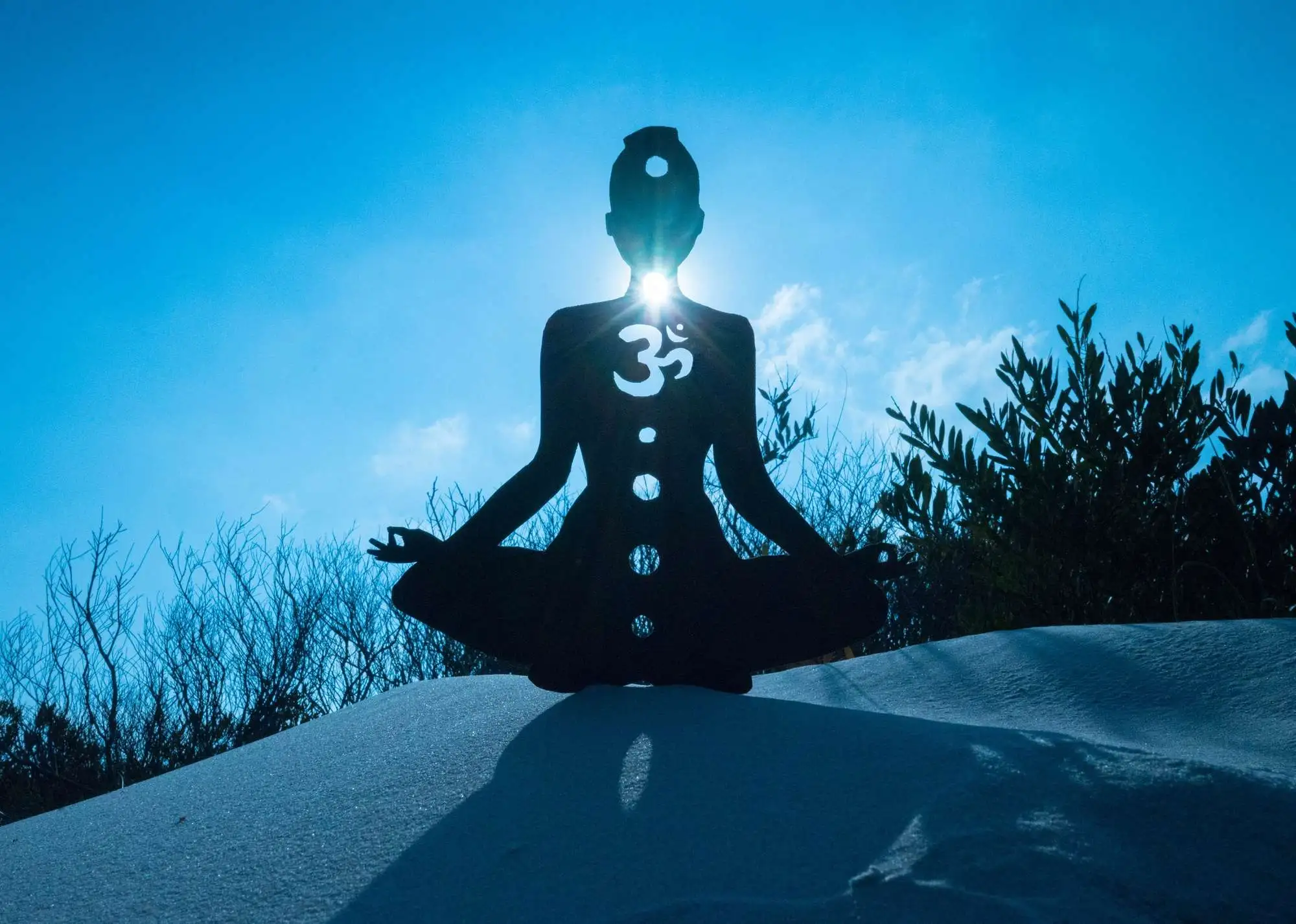 Chakras & Aura: A Scientific and Spiritual Exploration