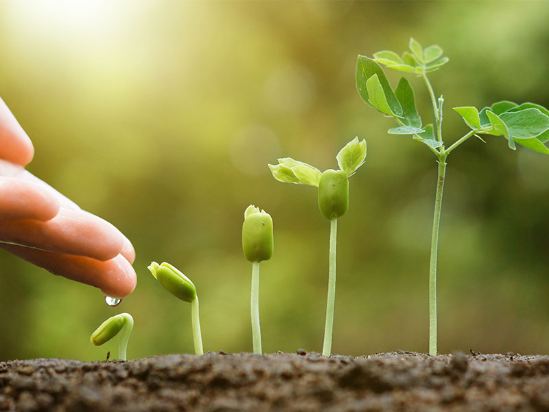 Spiritual Growth: Definition, Importance, Stages, and Daily Practices