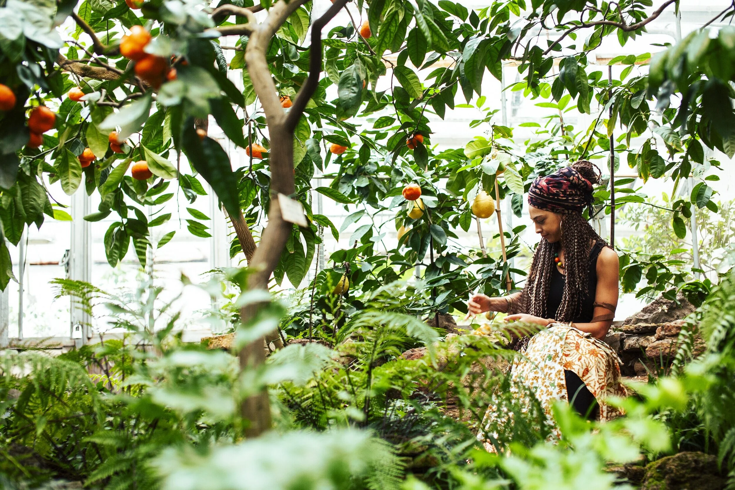 🌱 Natural Living: Returning to the Rhythm of the Earth and the Soul