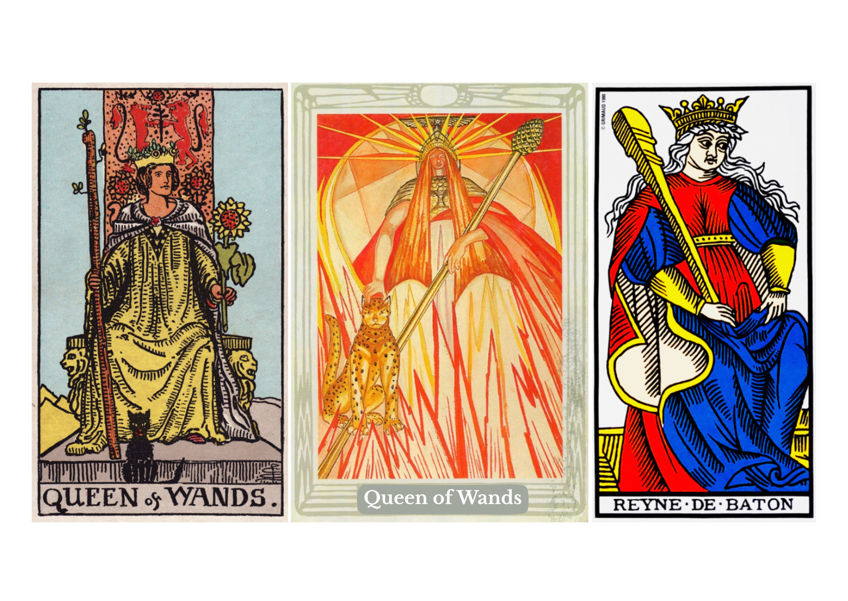 Queen of Wands — Radiance, Confidence, Magnetism, and Self-Power