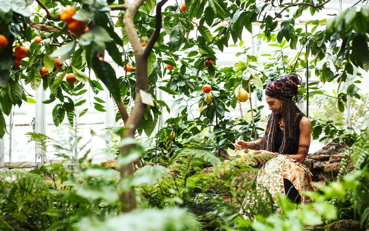 🌱 Natural Living: Returning to the Rhythm of the Earth and the Soul